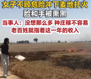 女子冲下麦地灭火脸被熏黑：种庄稼不容易