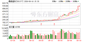A股又一只“30倍股”诞生 AI产业链再创新高