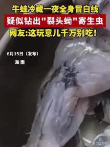牛蛙冷藏一夜疑似钻出“裂头蚴” 冰箱不是保险箱
