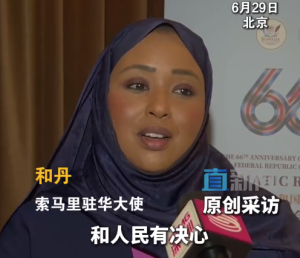 索马里女大使：想和中国一起搞事业，顺便承包大家的海鲜自由