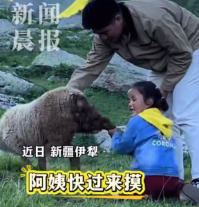 “阿姨快过来摸”！萌娃为了让游客摸羊也是拼了
