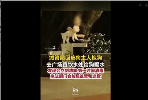 狗主人抱狗在广场直饮水处喝水 城管将加强监管