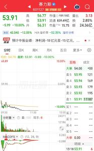 赛力斯A股股价跌停 半年预亏超20亿