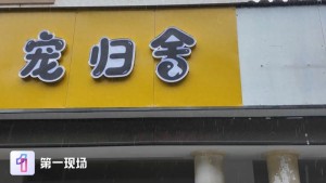 小区楼下开宠物殡仪馆遭业主投诉 居民：卫生安全谁来管？多部门回应