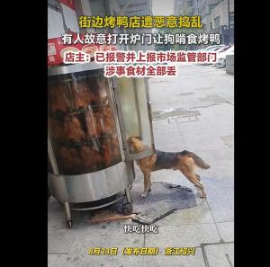 街边烤鸭炉被打开让狗啃食 店家报警 监控拍下故意行为
