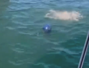 威海一小船海中着火 2人跳海逃生
