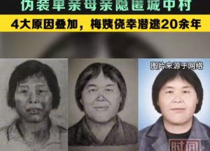 伪装单亲母亲隐匿城中村：4大原因叠加梅姨侥幸潜逃20余年
