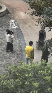 警方回应伤人犬只主人已被控制 烈犬咬伤多人引发关注