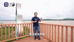 平陆运河对台资企业发展带来哪些便利 缩短出海里程降低成本