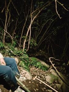 上海一家三口爬山走野路被困 徒步需谨慎