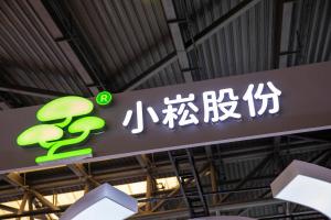 “内斗”升级！上任仅两个多月，小崧股份创始人遗孀方代表董事遭罢免！