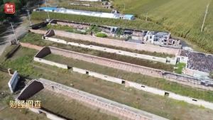 总台曝光个别地区蔬菜大棚撂荒 扶贫项目变“烂摊子”