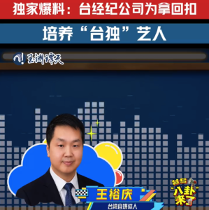 揭秘台当局和“台独”艺人利益链 民进党用标案转移民众税钱培养台独