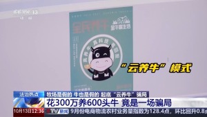 12万人被骗5.6亿，起底“云养牛”骗局 警惕虚假理财陷阱