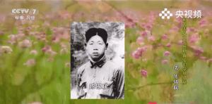 张雪回应被夸是“小钢炮” 死磕技术获认可