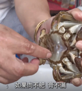 网传大闸蟹“全面滞销” 记者调查