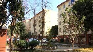 老人为不与儿媳同住放弃房产继承 未登记居住权引发争议