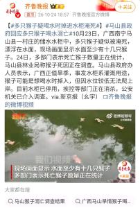 多只猴子喝水溺亡？当地政府回应 旱季意外导致