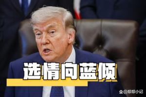 民主党会横扫美参众两院吗 选情与油价波动紧密相连
