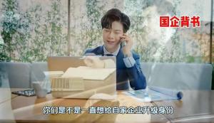 谁在批量制造“国企” 灰色产业链揭秘