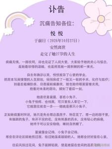 去世抗癌博主曾因是医学生没有重视 年轻与忙碌不应成为忽视健康的借口