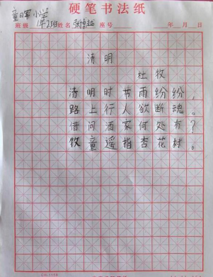 童趣非遗 纸上生花