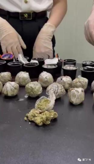 厦门海关查获“毒咖啡”18罐！系今年在寄递渠道查获的首起大麻案件
