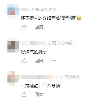 广州动物园“阿杭”变“二八分” 网友热议新发型