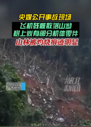 坠机目击者:离灾难现场仅约200米 听到巨大爆炸声