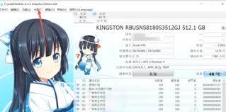 如何更改CrystalDiskInfo字体显示比例