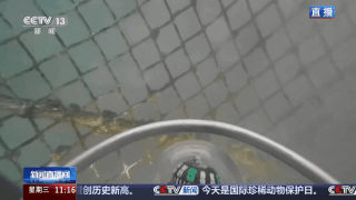 经验养殖→数据驱动 新场景激活渔业新动能