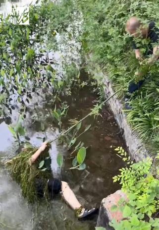 老人失足落水水草缠身 大叔折竹救人