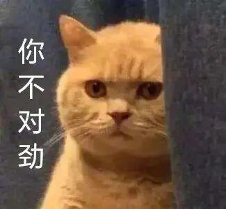 10岁女孩识破假警察电话诈骗 反诈知识显威力