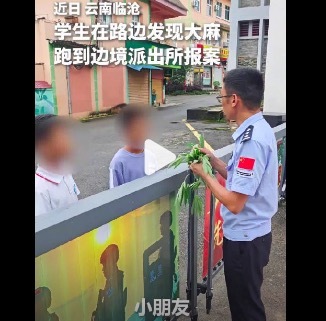 禁毒课没白学！小学生路边发现大麻立功了 