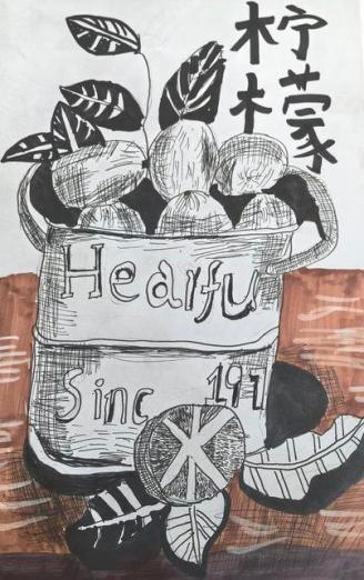 沣西实验学校-陈梦涵       