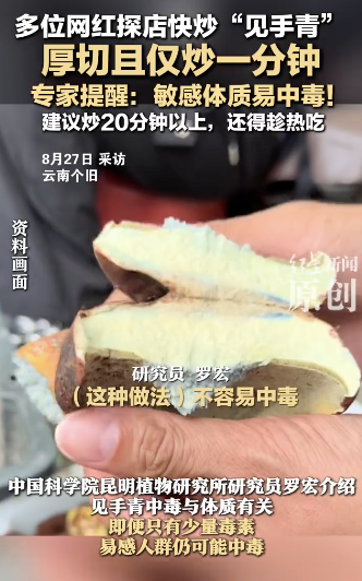 多位网红探店快炒见手青 专家提醒：易中毒！