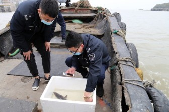 男子捕撈搖蚊幼蟲 法院：需承擔(dān)生態(tài)環(huán)境損害賠償金
