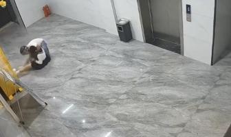 警方通報頭盔男拖拽猥褻女子 嫌疑人已被刑拘