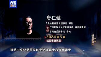 老板打造高端民宿专供唐仁健吃喝玩乐 风腐交织的典型案例