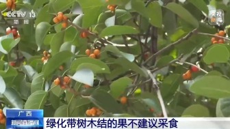 綠化帶樹木結(jié)的果實能吃嗎 不宜食用注意健康