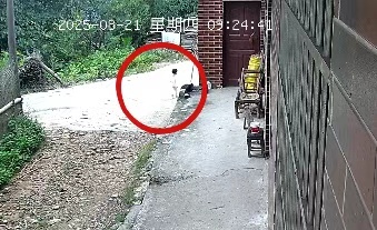 2岁女童失踪34小时后获救
