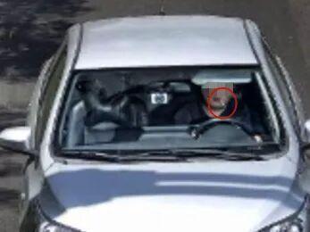 男子开车叼牙线被罚 交管复核后撤销 执法合理性引讨论