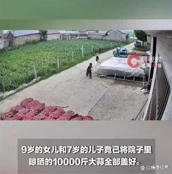 被小孩姐小孩弟雨中的身影暖到了 稚嫩肩膀扛起责任