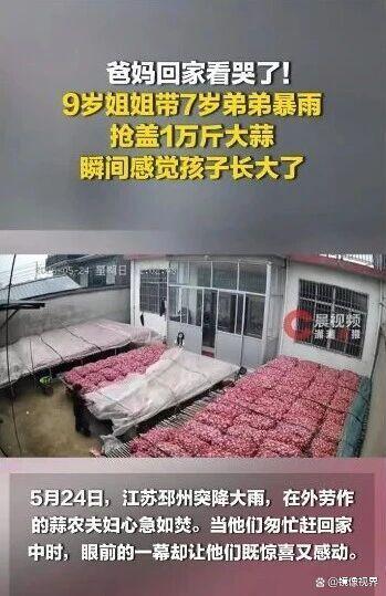 被小孩姐小孩弟雨中的身影暖到了