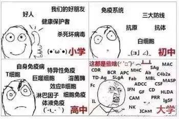 高中生必看的九科难度排名!谁是你的MVP!