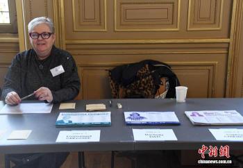 法国市镇选举结果陆续出炉 格雷瓜尔当选巴黎市长