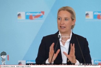 德国选择党领袖称：德国已破产，法国也快完了!欧盟烂摊子谁来收？