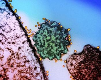 解读尼帕病毒的传播局限性 疫情引发广泛关注