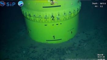 日本这就实现“稀土自由”了吗 前景仍不明朗