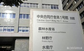 日本放人 光速认怂收场